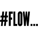 Flow Experience Marketing