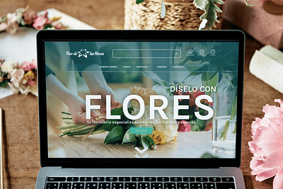 Diseño web Flor de las Nieves - Advertising
