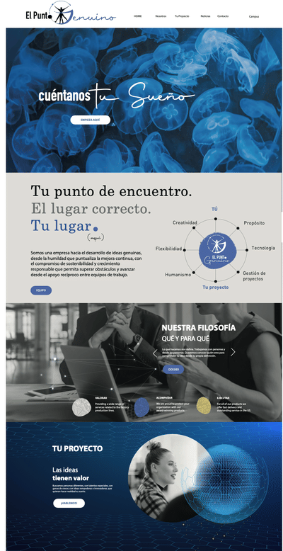 El Punto Genuino - Identidad corporativa, Web - Estrategia digital