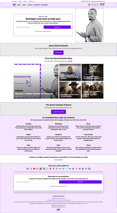 The DAVIDCELESTIN.COM website - Social Media