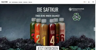 Saftiges Wachstum durch SEA für KALE&ME - Online Advertising