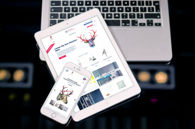 DameDéco - Site e-commerce, supports print, ... - E-commerce
