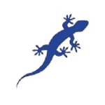 Gecko Websites logo