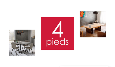 Création et maintenance site e-commerce 4 Pieds - Application web