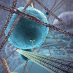 XVIVO Scientific Animation logo