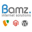 Bamz - Internet Solutions logo