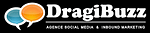 DragiBuzz logo