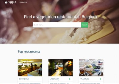 Vggie - Website Creatie