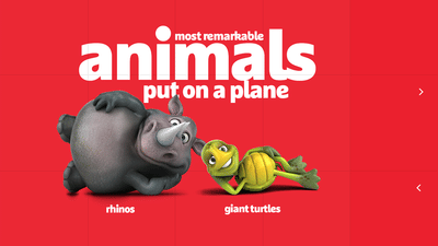 Brussels Airport in numbers - Website Creation