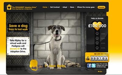 Virtual Dog Walk - Advertising