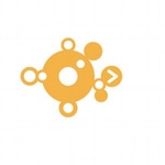 thenetworkone
