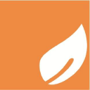 L'Orange Carré