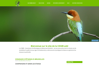 COWB - Website Creatie