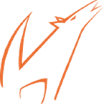 Wolff Design