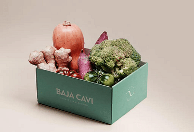 BAJA CAVI - Image de marque & branding