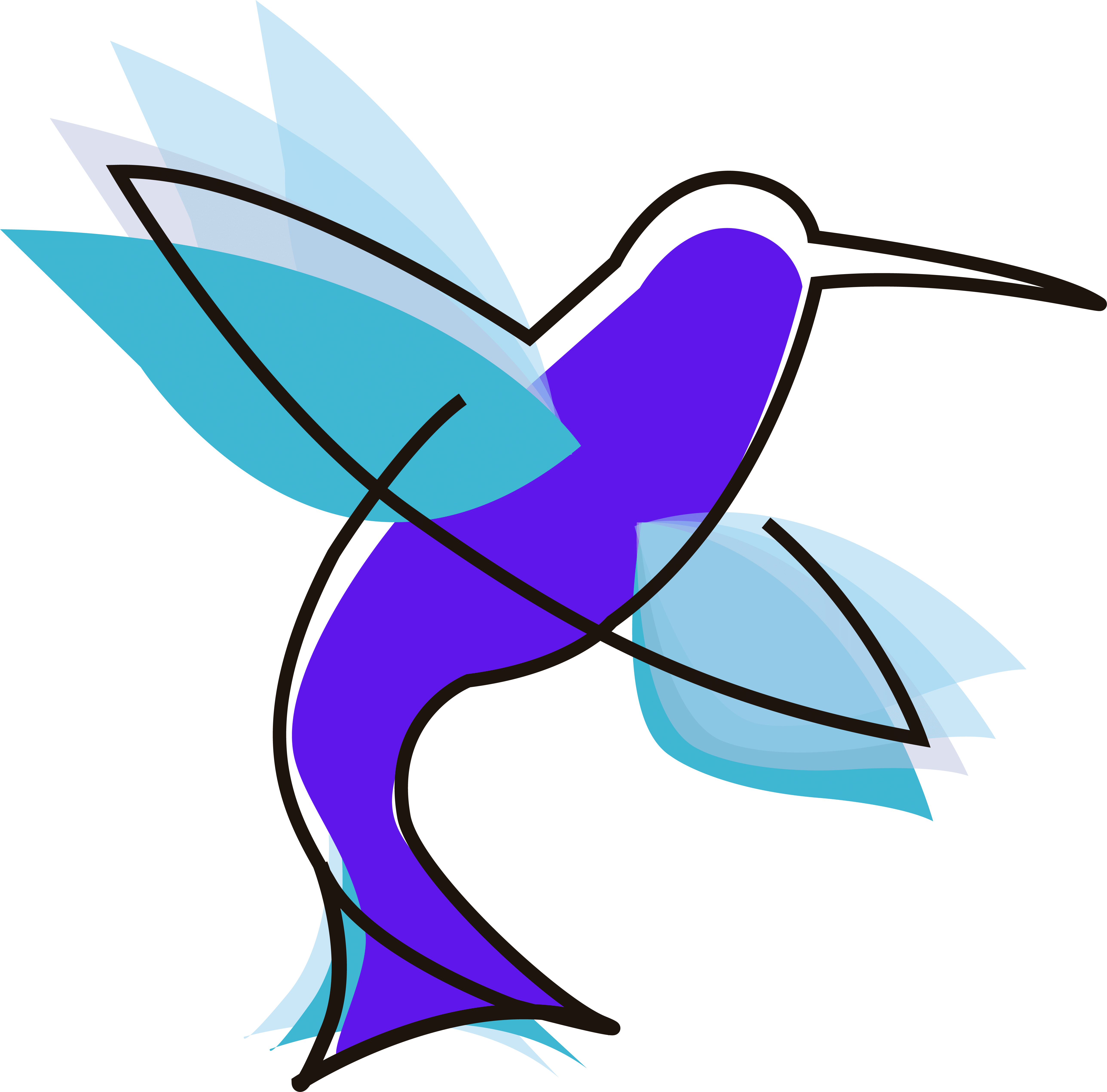 Colibri AI & Web Dev