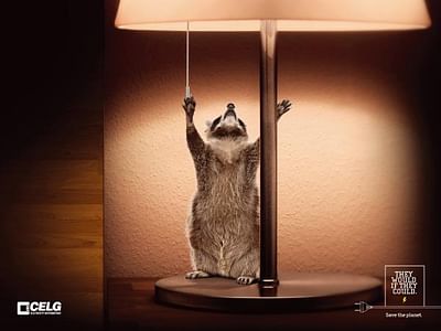 RODENT - Reclame