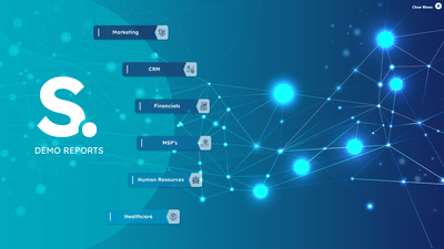 Solv Systems - Demo Report - Data Consulting