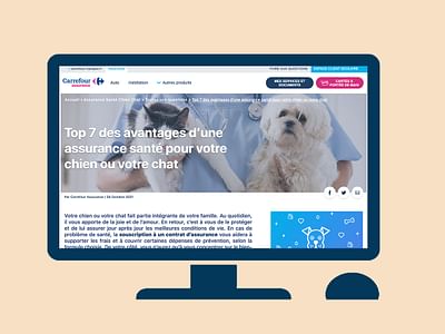 Marketing - 50 articles SEO par mois - Stratégie de contenu