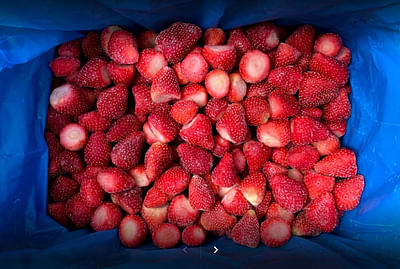 IQF Strawberries - E-commerce
