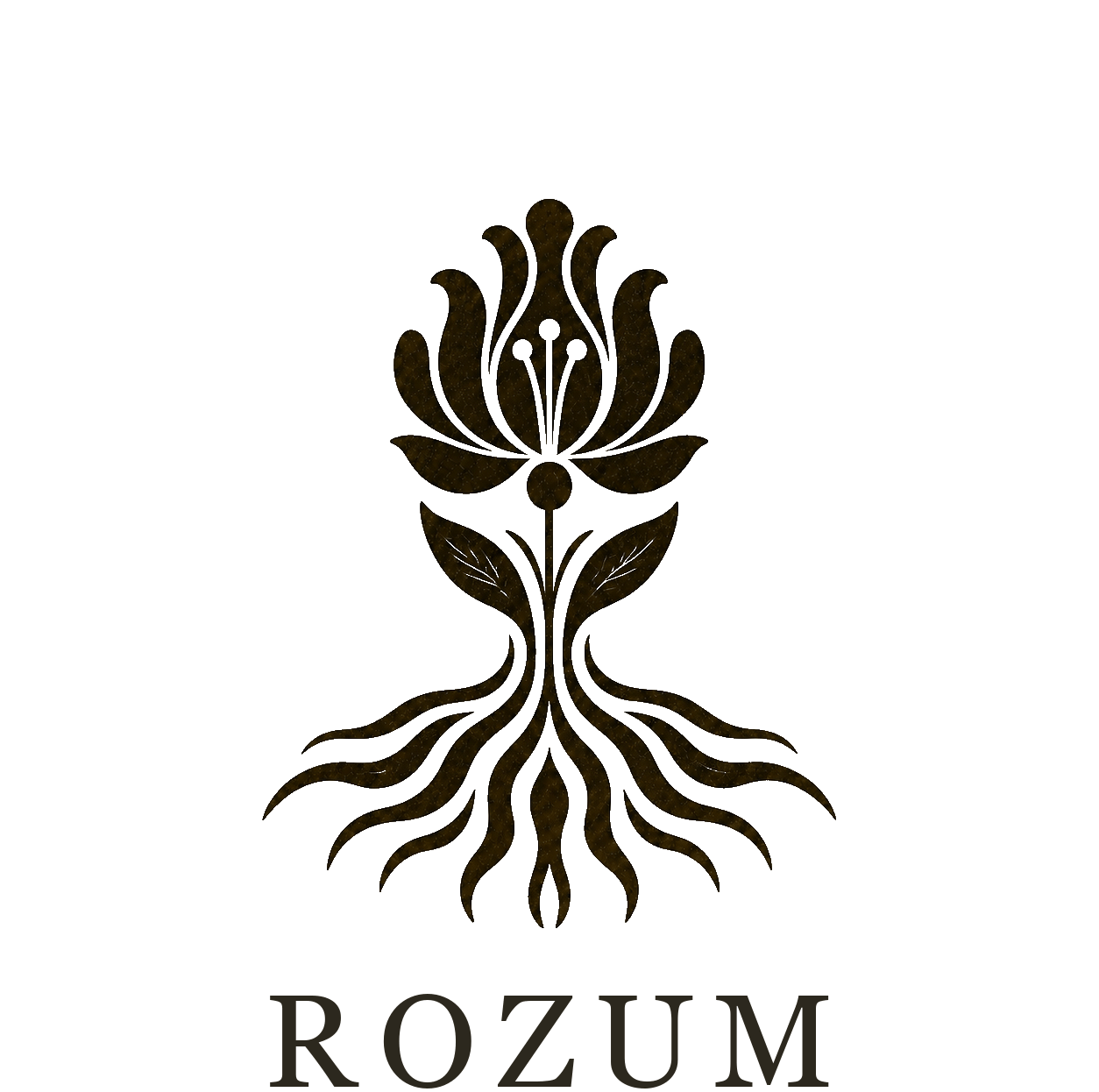 ROZUM Studio