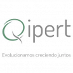 Qipert logo