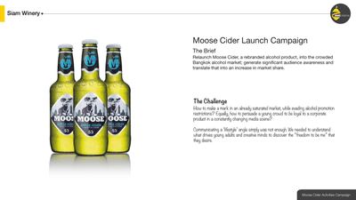 Moose Cider Brand Relaunch Strategy - Branding & Positioning