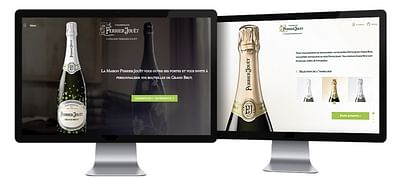 Perrier-Jouët - Stratégie digitale