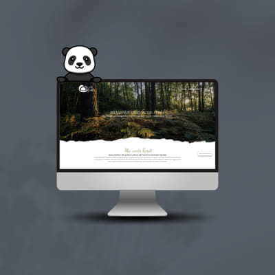 Création du site de ma verte fôret - Référencement naturel