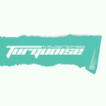 Turquoise Designz