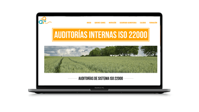 Posicionamiento SEO - SEO