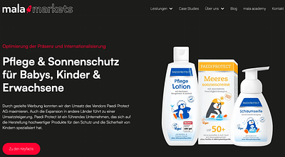 Internationalen Umsatz eines Vendors maximiert - E-commerce