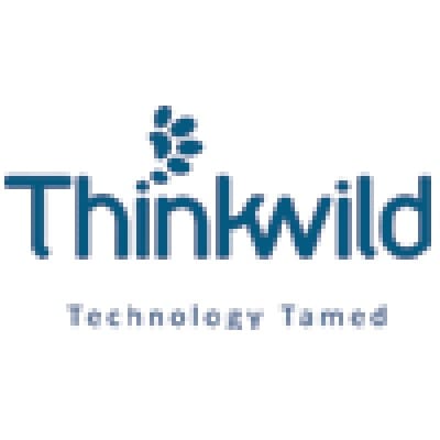 Think In Wild Studios