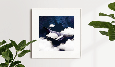Photographie créative - Image de marque & branding