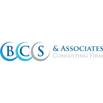 Business Strategy Consultants and Associates LLC