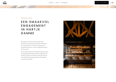 Website voor Mout Damme - Webseitengestaltung