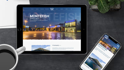 Web Design & Custom CMS Development - Web Application