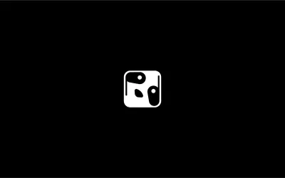 Panda Media Agency - Brand Identity - Branding y posicionamiento de marca