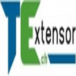 TechExtensor PVT LTD