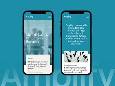 Brand refresh & new site for mental health company - Website Creation