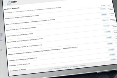 Bitkom Consult - Innovation
