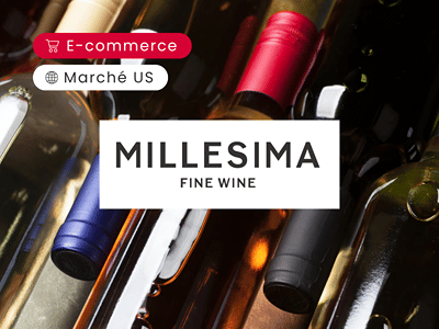 +1 500 % de trafic SEO en 2 ans | Stratégie SEO sur le marché US - SEO