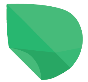 MINT-MEDIA.PL