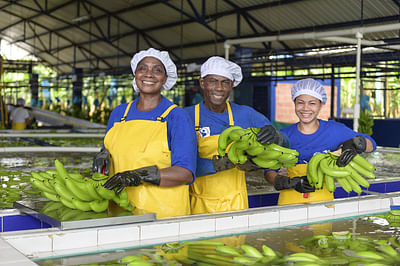 B2B PR: Banana exporter from Colombia - Öffentlichkeitsarbeit (PR)