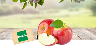 BayWa Obst | Rebranding und Kommunikation - Öffentlichkeitsarbeit (PR)