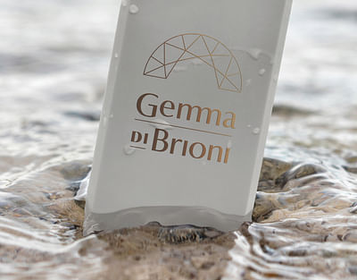 Gemma Di Brioni Wellness & Spa Brand Identity - Image de marque & branding
