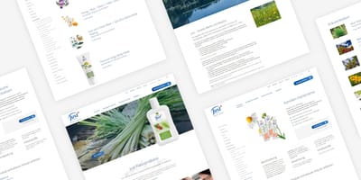 Just Benelux - Digital Strategy