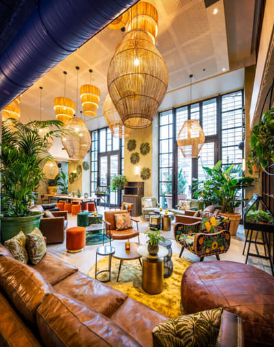 Serra - Création de site internet