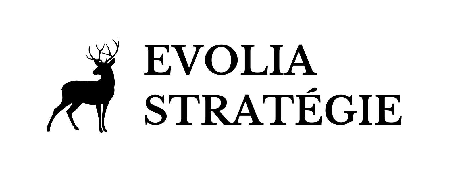 Evolia Stratégie