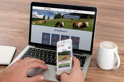 Startup Website - Branding & Positionering